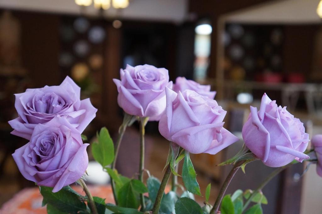 Don Ramon Hotel & Spa Canela Zewnętrze zdjęcie